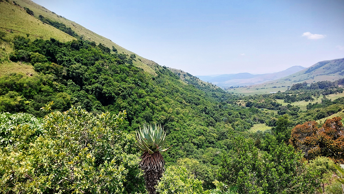 An adventure into the Highveld - Sociably